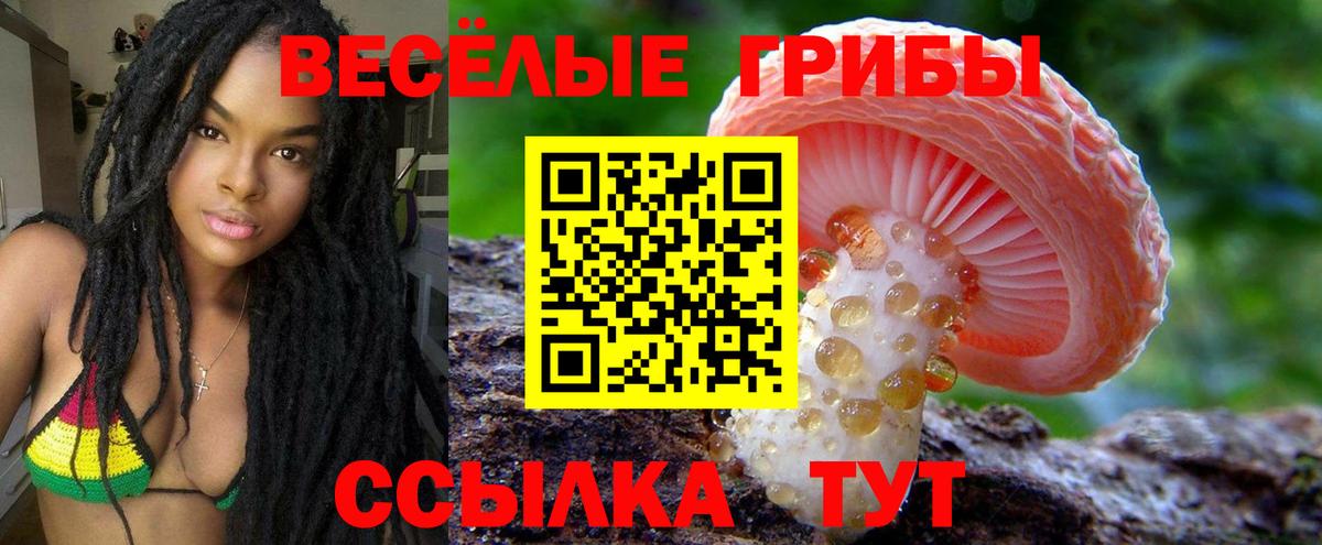 Батайск  купить наркотик  Вход с VPN  Псилоцибиновые грибы прущие грибы 